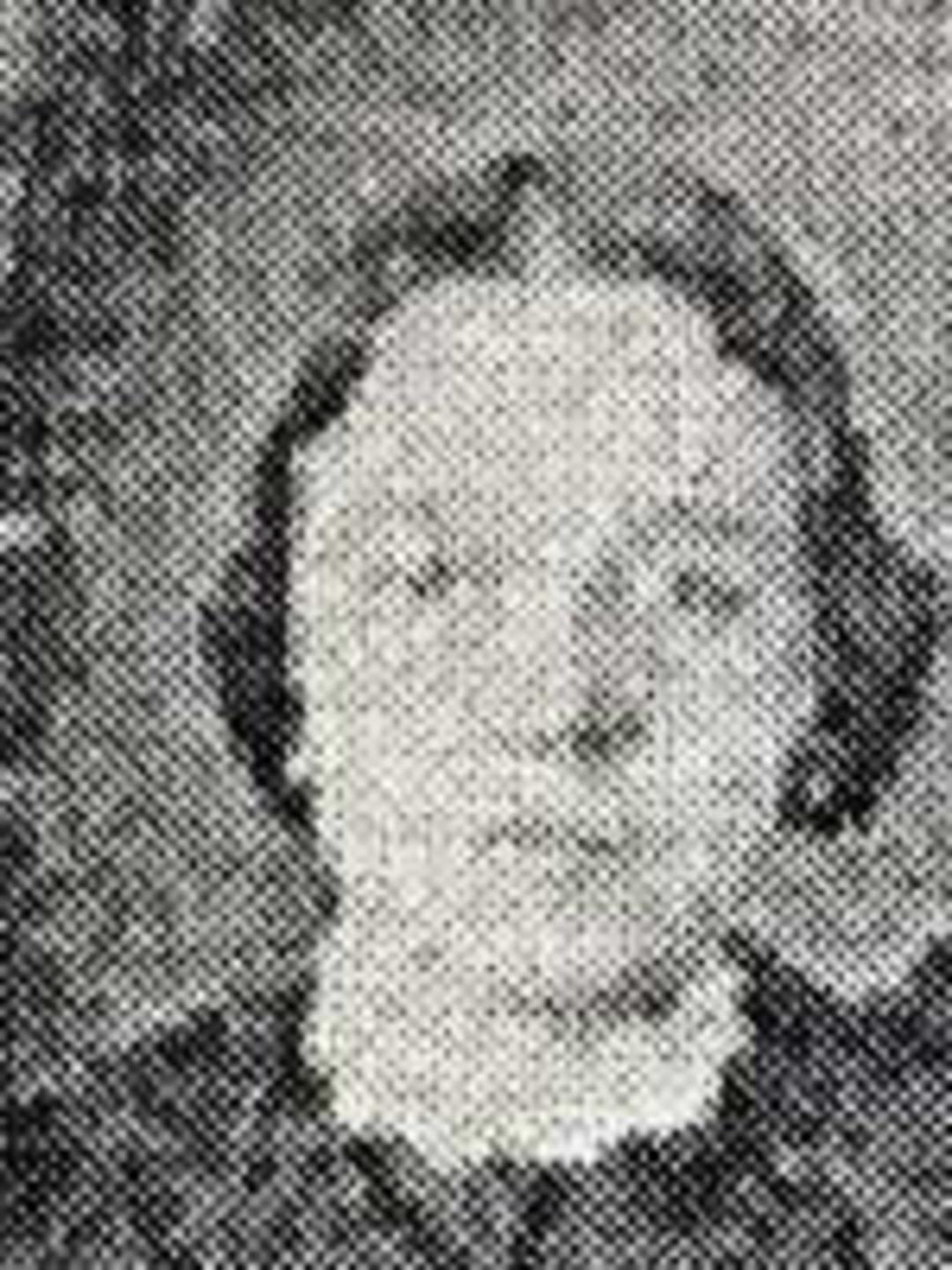 Sarah Ann Welborn (1830 - 1917) Profile